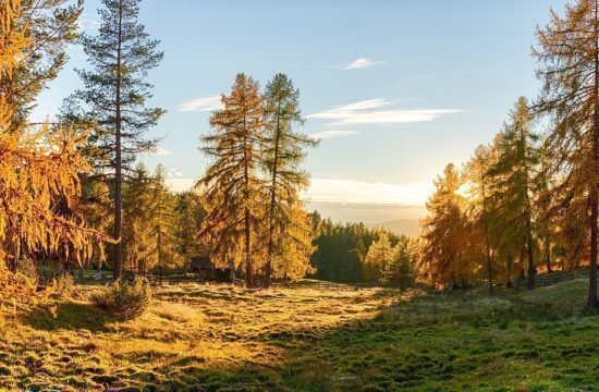 Herbstzeit