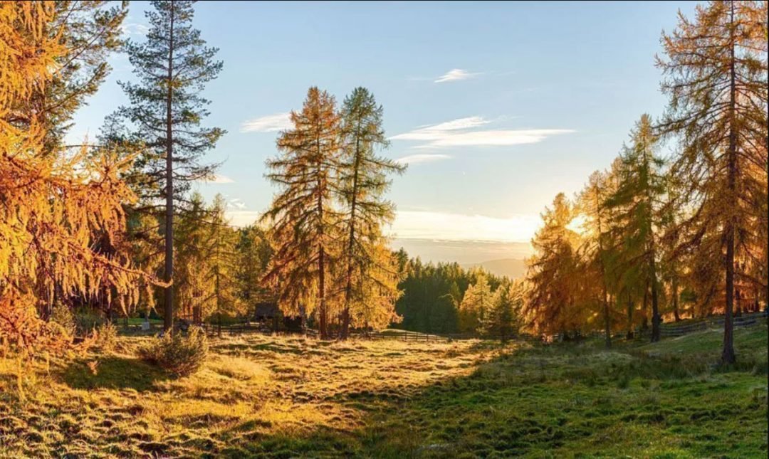 Giornate di escursioni in autunno
