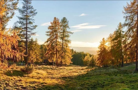 Giornate di escursioni in autunno